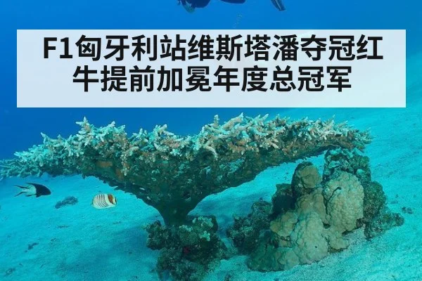 F1匈牙利站维斯塔潘夺冠红牛提前加冕年度总冠军